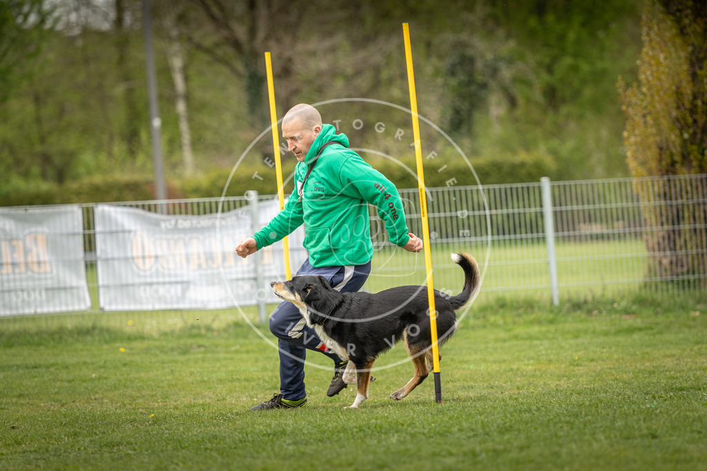 Pfotenfotografie_DV3A2151 | Hundefotografie, Tierfotograf, Pfotenfotografie, Fotoshooting Hund, Hunde Portrait, Hundesport, Hundeportraits, Heideshooting, Hunde, Sportfotograf, Hundefotograf, Turnierhundsport, THS,  - Realisiert mit Pictrs.com