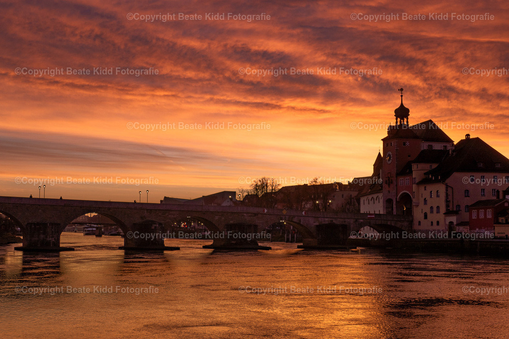 P2040784 | beatekidd-fotografie - Realisiert mit Pictrs.com