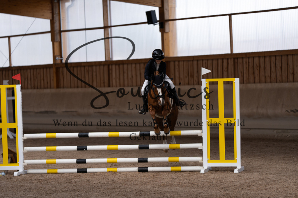 A7507477 | Pferdefotograf