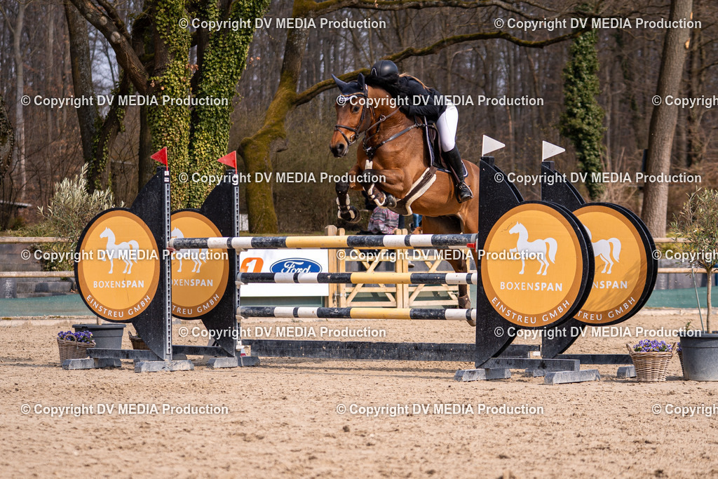 Kranichstein Tag 2-1913 | dv-media-shop - Realisiert mit Pictrs.com