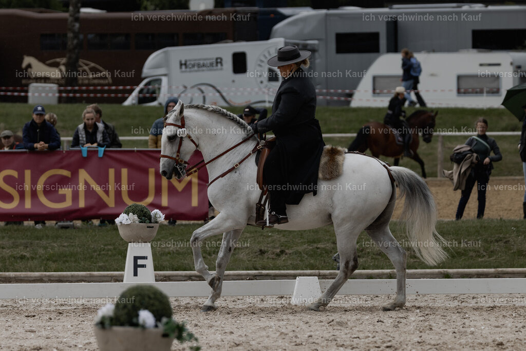 WE_DR_Stoib_321_PI2025_341 | Pferd International München 2025