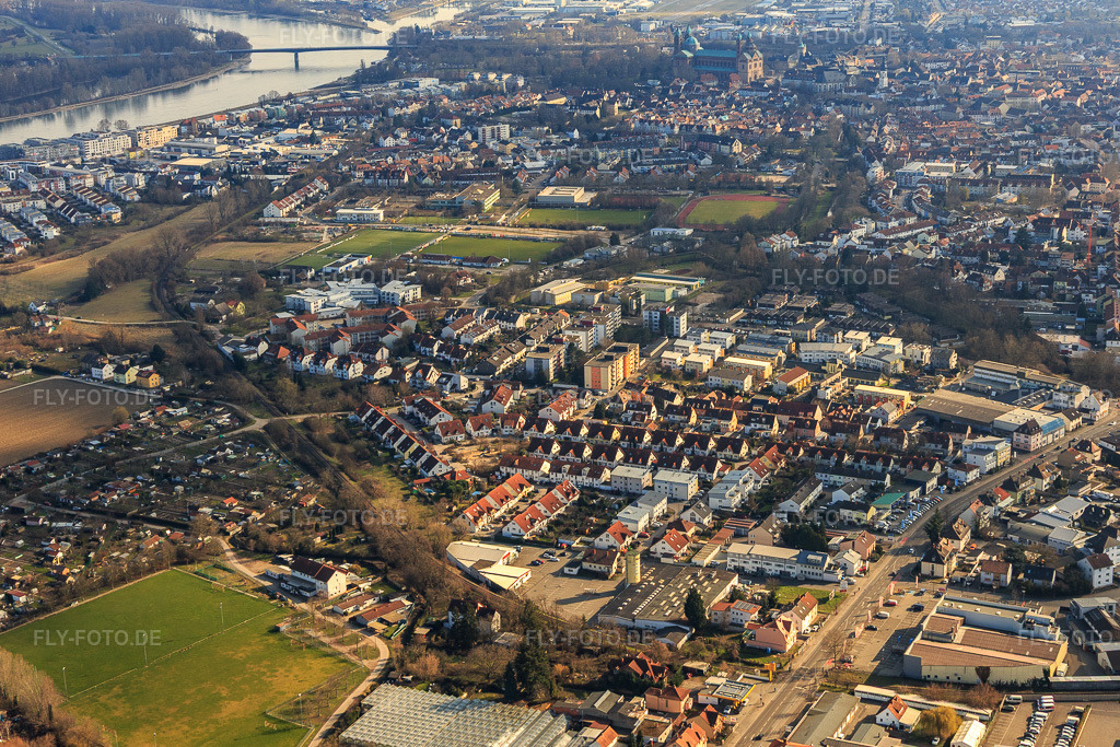 Luftbild: Siedlung Otto-Heß-Straße in Speyer im Bundesland Rheinland-Pfalz in Deutschland. Foto: IMG_125879.jpg vom 07.03.2021 durch Werner Riehm/FLY-FOTO.de