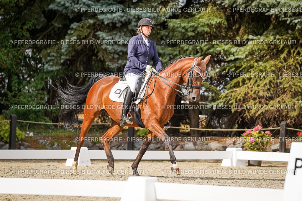 DSC07208 | Pferdegrafie