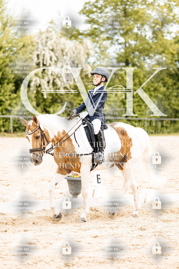 CK904690 | Turnierfotografie Pferdefotografie Trier Rheinland-Pfalz Pferdesport Reitsport Tierfotografie Sportfotografie Pferdevideo Pferdevideografie Equestrianvideography equestrianphotography  - Realisiert mit Pictrs.com