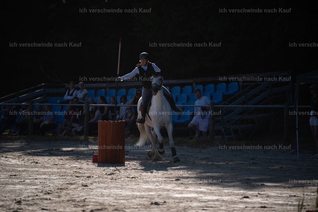 WL_SP_47_Stoibphotography_SO13504 | working equitationturnier fotograf videograf stoibphotography marixx film working equitation deutschland reitsport turnierfotografie eventfotografie equestrian events