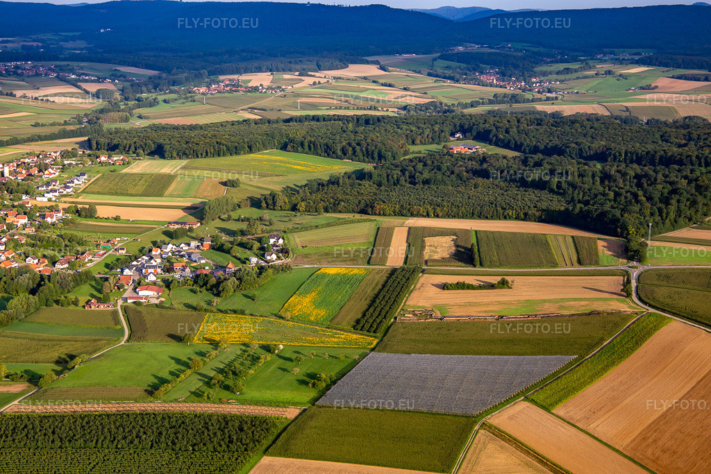 Vue aérienne: Ferme Grasersloch à Hunspach dans le département Bas Rhin, France. Photo: IMG_138102.jpg prise le 19/08/2023 par Werner Riehm/FLY-FOTO.euRésolution de l'original: 5472 x 3648 px