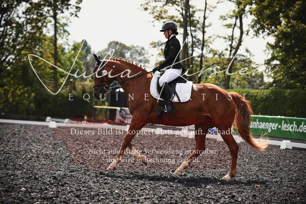DSC_3888 | Pferde- und Turnierfotografie in Westsachsen. Pferdeportraits, Auftragszeichnungen und intuitive Kunst.