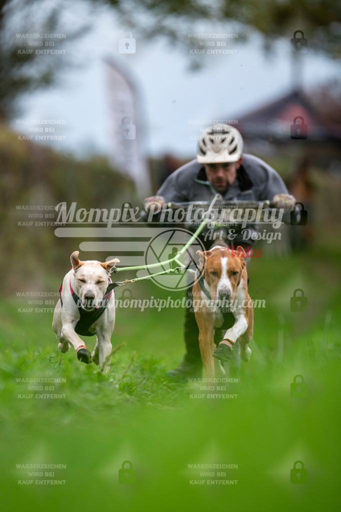 TSB_2023_E8_DS2-9 | PayLife