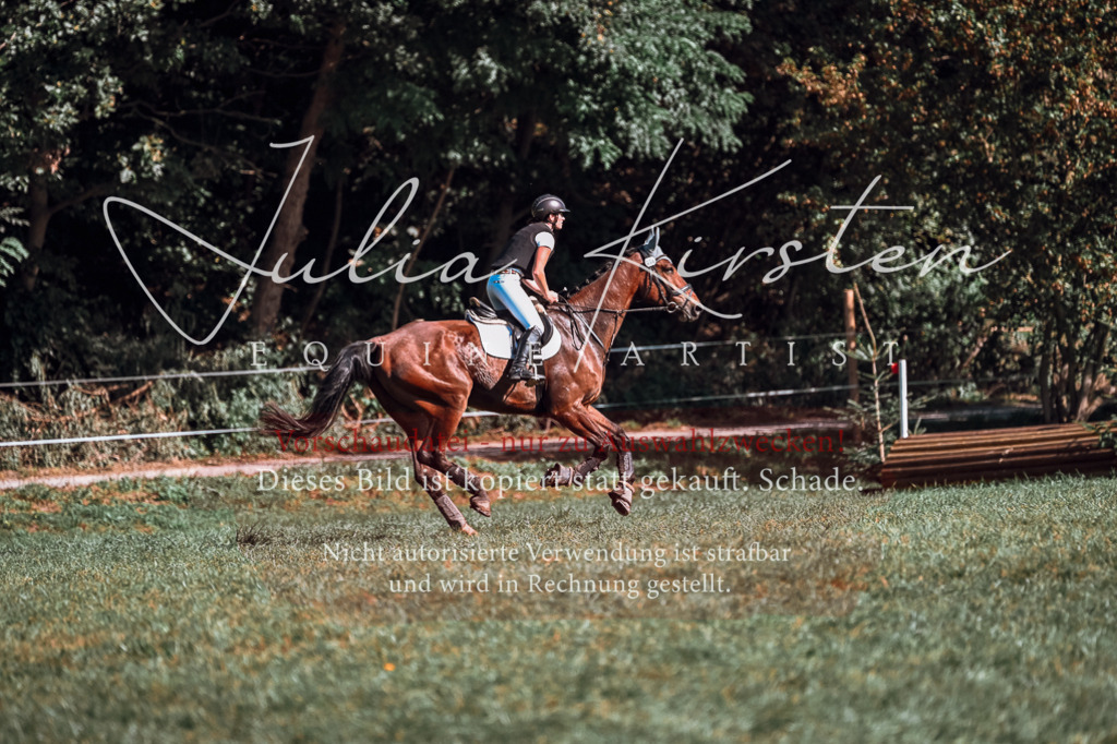 DSC_0991 | Pferde- und Turnierfotografie in Westsachsen. Pferdeportraits, Auftragszeichnungen und intuitive Kunst.