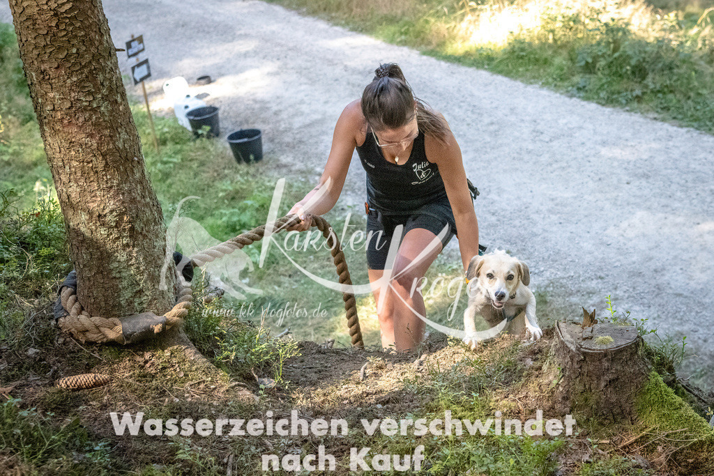 1135_ZZ91002 | kk-dogfotos