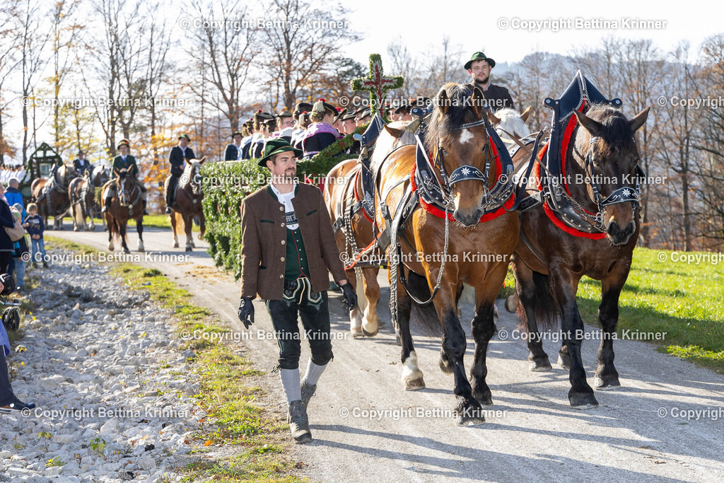 LBT24-1386 | foto-bettina-krinner - Realisiert mit Pictrs.com