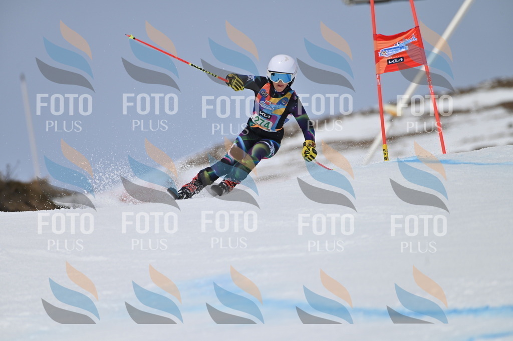 BGV_5419 | holidayphoto