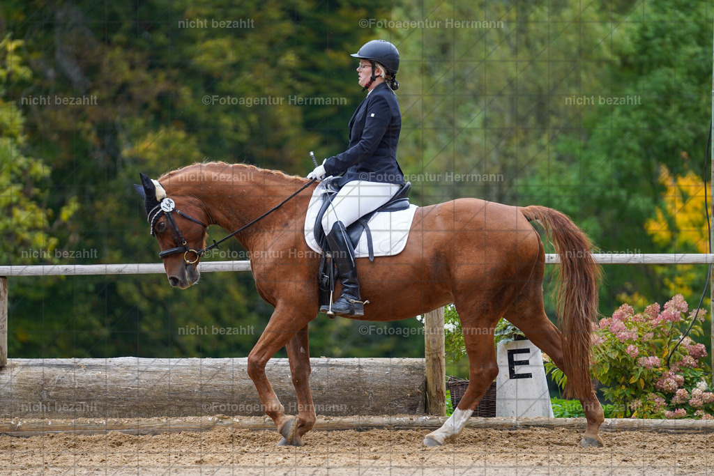 20221008-FAH01710 | Diessen am Ammersee, 2022, Dressur- und Springturnier, Reitsportbilder, Turnierfotografen Bayern, Pferdefotografen, Fotoagentur Herrmann, Turnierbilder