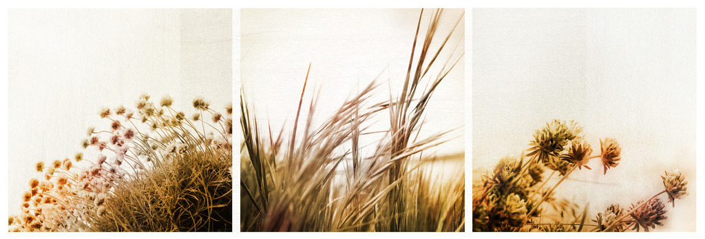 adagio | Stimmungsvolle Fotografien von Dorit Fuhg. Kaufen Sie bequem hochwertige Fine-Art Drucke, Wandbilder und Kalender hier im Online-Shop. - Realisiert mit Pictrs.com