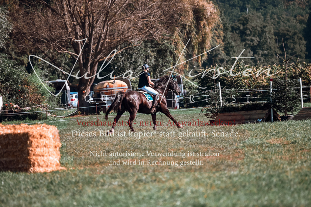 DSC_0906 | Pferde- und Turnierfotografie in Westsachsen. Pferdeportraits, Auftragszeichnungen und intuitive Kunst.