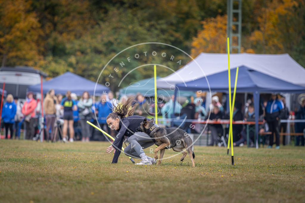 Pfotenfotografie_DV3A0964 | Hundefotografie, Tierfotograf, Pfotenfotografie, Fotoshooting Hund, Hunde Portrait, Hundesport, Hundeportraits, Heideshooting, Hunde, Sportfotograf, Hundefotograf, Turnierhundsport, THS,  - Realisiert mit Pictrs.com