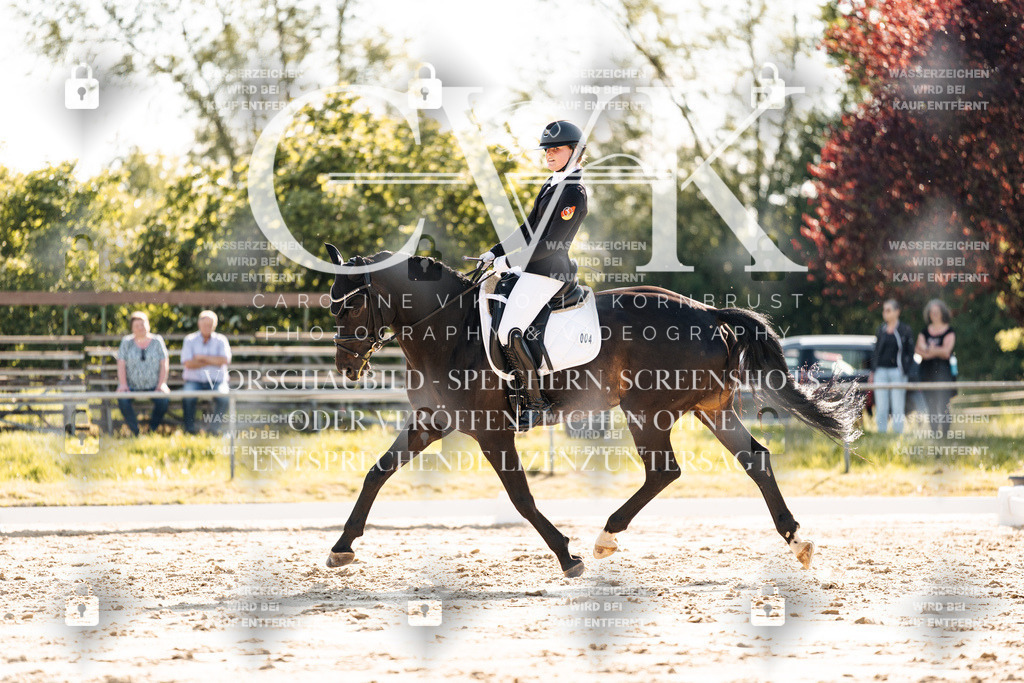 CK909902 | Turnierfotografie Pferdefotografie Trier Rheinland-Pfalz Pferdesport Reitsport Tierfotografie Sportfotografie Pferdevideo Pferdevideografie Equestrianvideography equestrianphotography  - Realisiert mit Pictrs.com