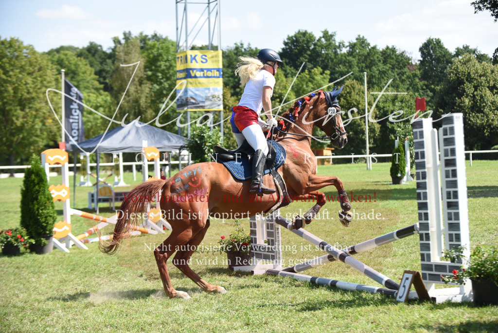 DSC_0337 | Pferde- und Turnierfotografie in Westsachsen. Pferdeportraits, Auftragszeichnungen und intuitive Kunst.