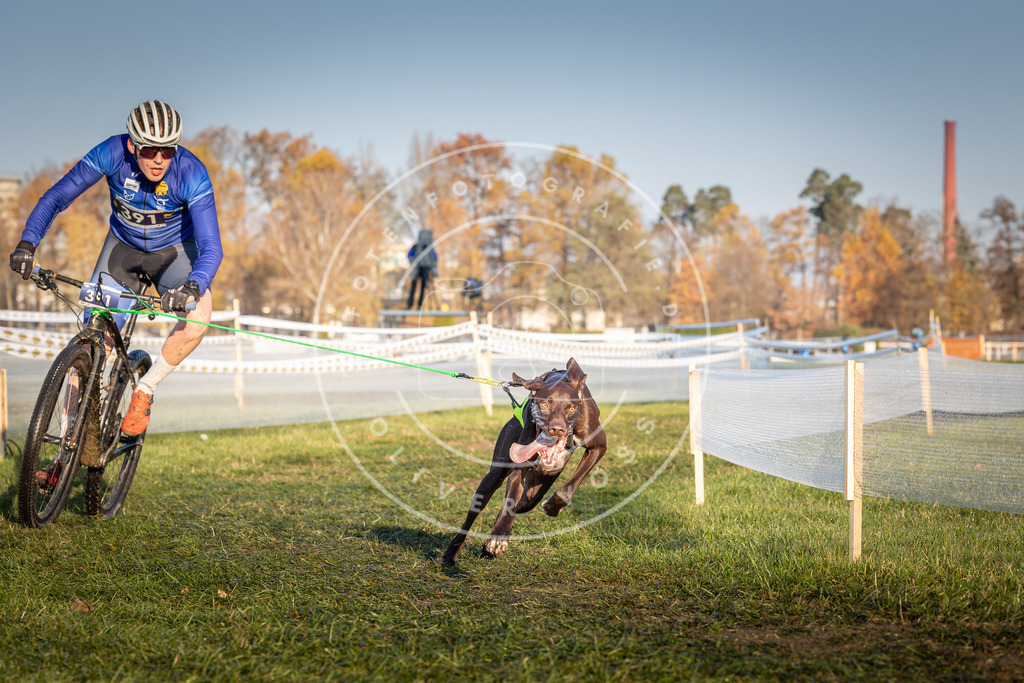 CaniXpix_0L8A3857 | Hundefotografie, Tierfotograf, Pfotenfotografie, Fotoshooting Hund, Hunde Portrait, Hundesport, Hundeportraits, Heideshooting, Hunde, Sportfotograf, Hundefotograf, Turnierhundsport, THS,  - Realisiert mit Pictrs.com