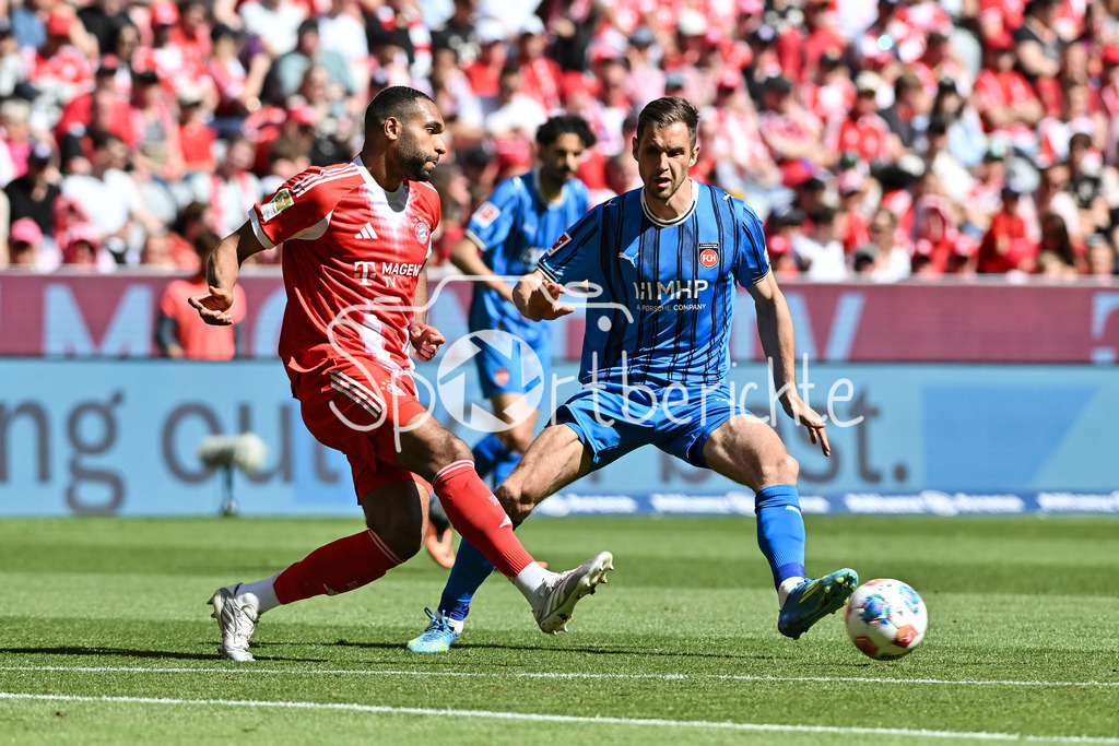 FC Bayern München - 1. FC Heidenheim | MUNICH, GERMANY - 02. MAI: im Duell Jonathan TAH (FC Bayern Munich 4) und Marvin PIERINGER (1. FC Heidenheim 18) während dem Bundesligamatch zwischen dem FC Bayern München und dem 1. FC Heidenheim am 32. Spieltag in der Allianz Arena / DFL REGULATIONS PROHIBIT ANY USE OF PHOTOGRAPHS AS IMAGE SEQUENCES AND/OR QUASI-VIDEO