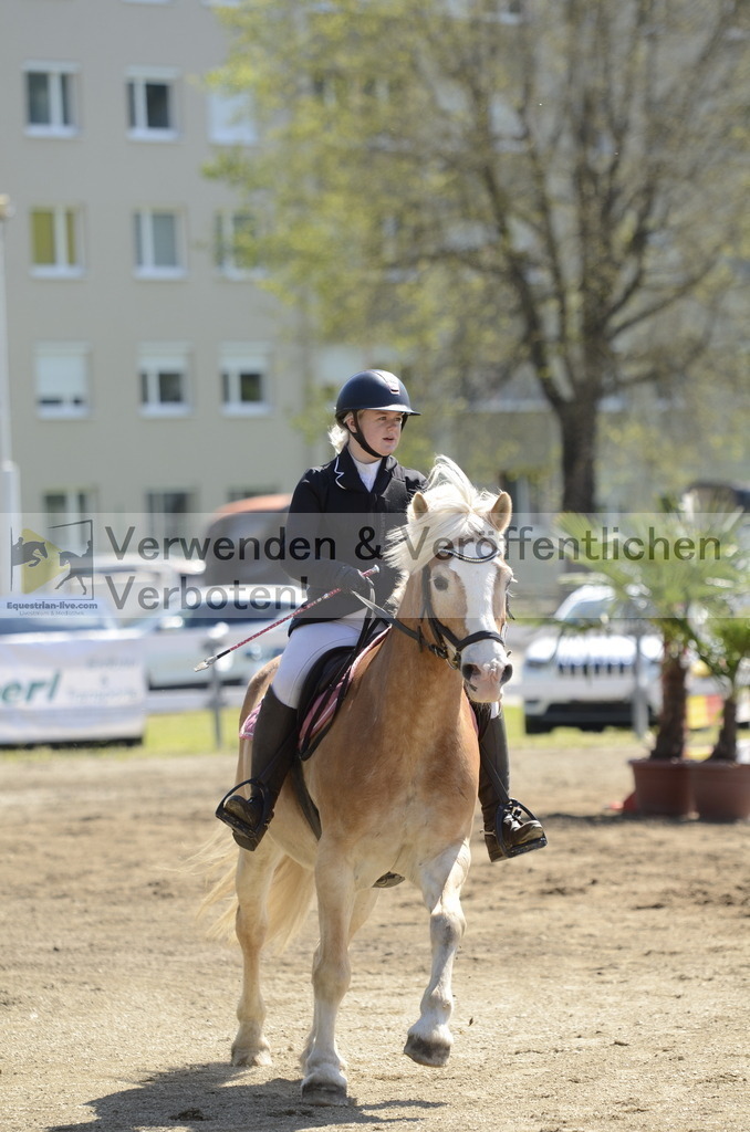 _DSC8604 | equestrian-live-com