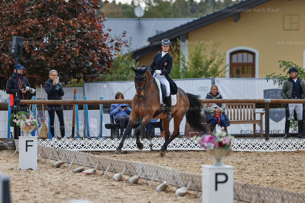 12-186-DRESSUR  S___  -StoibPH-5378 | working equitationturnier fotograf videograf stoibphotography marixx film working equitation deutschland reitsport turnierfotografie eventfotografie equestrian events