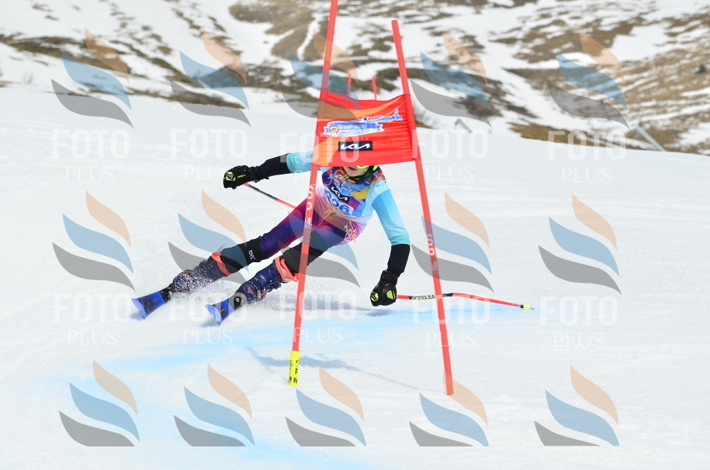 _ELE2838 | holidayphoto