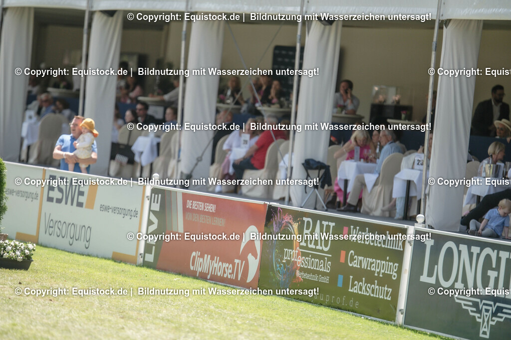 DSC_0356 | equistock