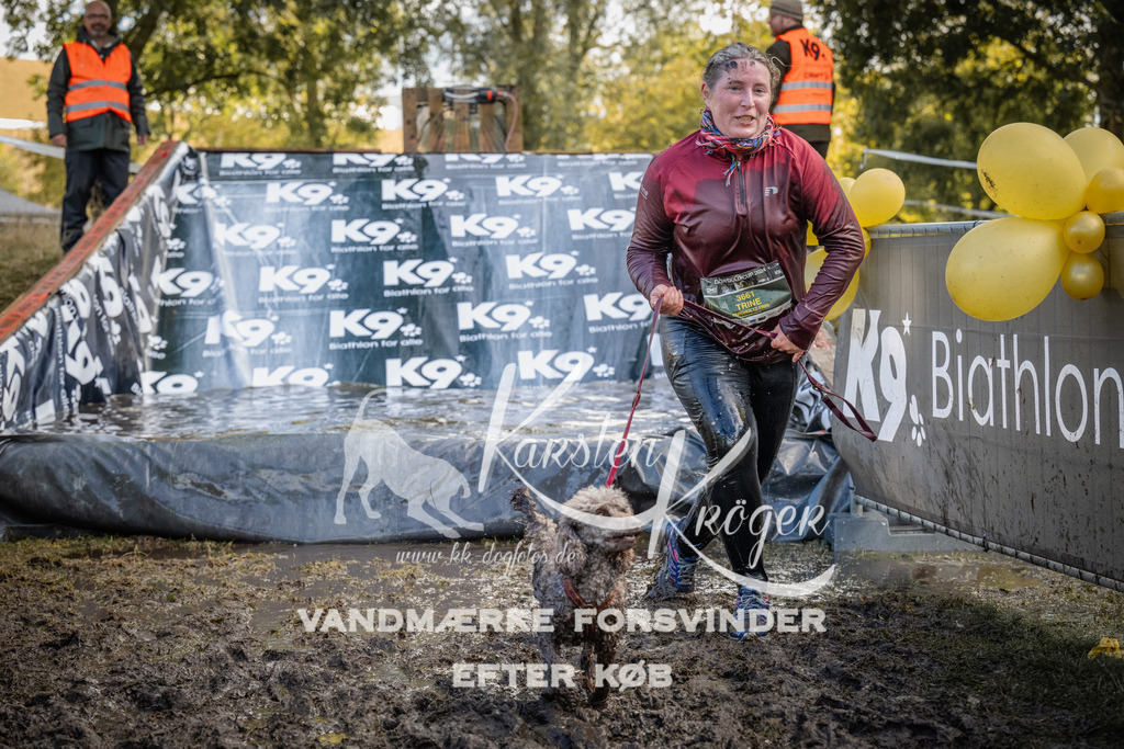 1527_ZZ94643 | kk-dogfotos