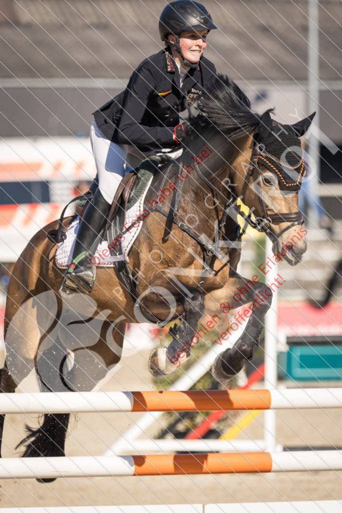 IMG_3045 | Sport-, Event- und Tierfotos in Profiqualität. Einfach auswählen, bestellen und herunterladen. Dein Moment – perfekt festgehalten.