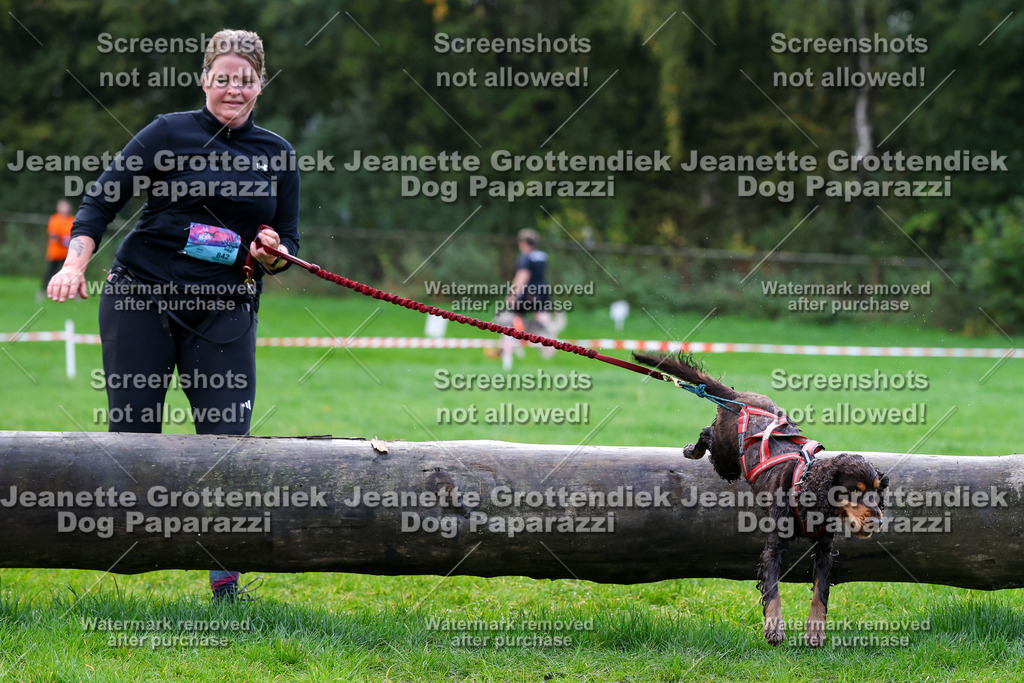 Dog Paparazzi -  SD1026-1178 | Dog Paparazzi Jeanette Grottendiek Fotografie & Videografie - Realisiert mit Pictrs.com
