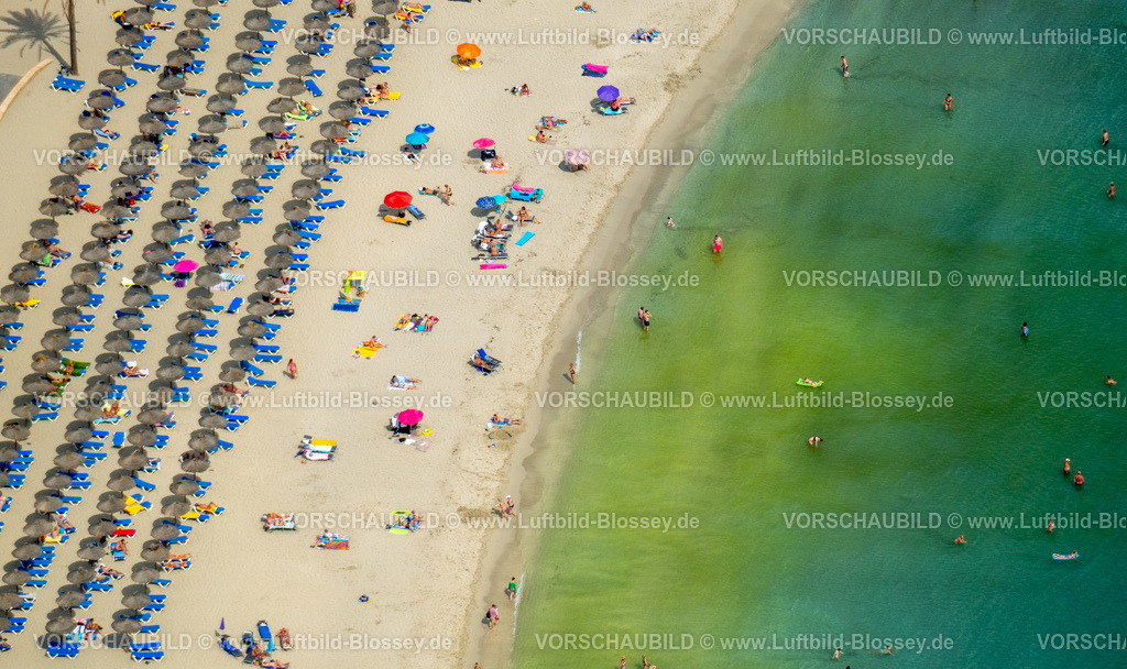 Mallorca230600291N | Luftbild, Strandleben mit Sonnenliegen und Sonnenschirmen, Strand von Palmira am Passeig Maritim de Palmira, Playa Palmira, Peguera, Calvia, Balearen, Mallorca, Balearische Inseln, Spanien