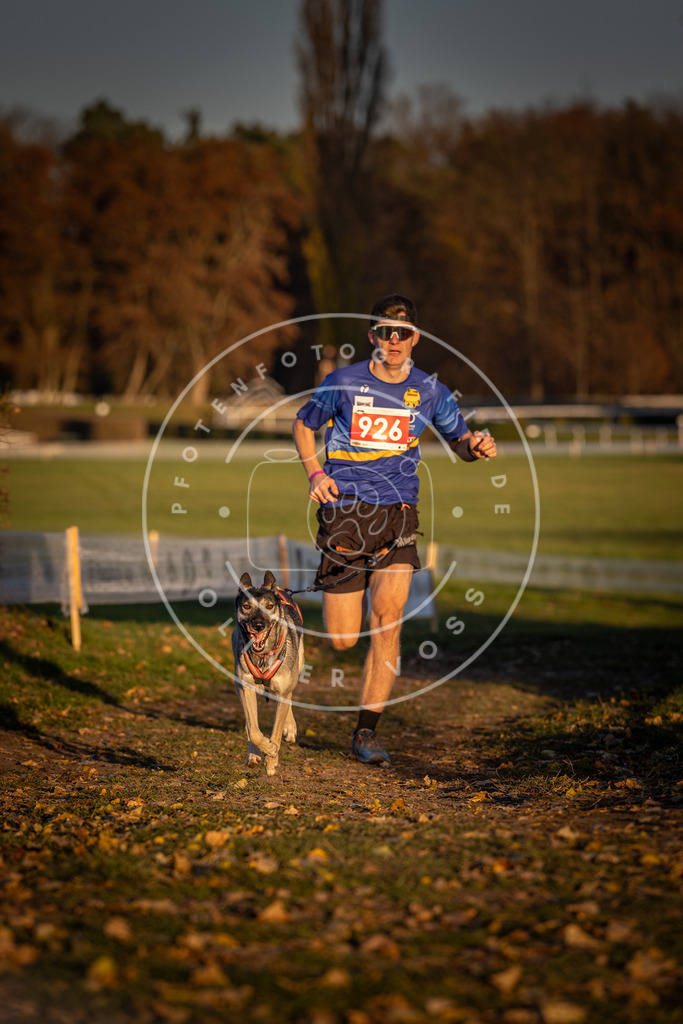 CaniXpix_DV3A5038 | Hundefotografie, Tierfotograf, Pfotenfotografie, Fotoshooting Hund, Hunde Portrait, Hundesport, Hundeportraits, Heideshooting, Hunde, Sportfotograf, Hundefotograf, Turnierhundsport, THS,  - Realisiert mit Pictrs.com