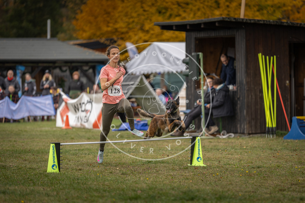 Pfotenfotografie_DV3A7343 | Hundefotografie, Tierfotograf, Pfotenfotografie, Fotoshooting Hund, Hunde Portrait, Hundesport, Hundeportraits, Heideshooting, Hunde, Sportfotograf, Hundefotograf, Turnierhundsport, THS,  - Realisiert mit Pictrs.com