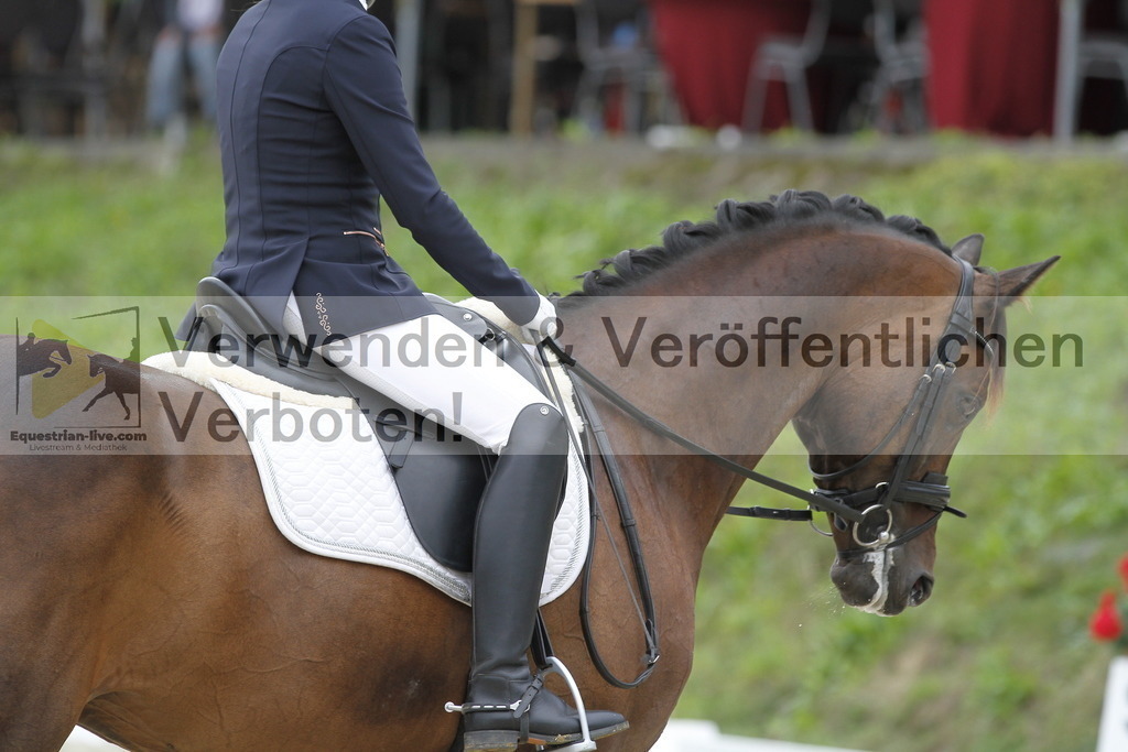 _MG_5037 | equestrian-live-com