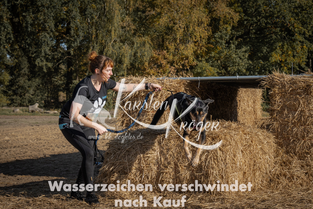 1111_ZZ90421 | kk-dogfotos