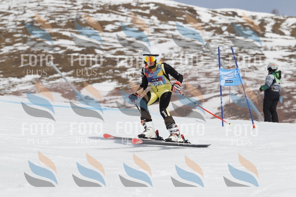 _U3G2334 | holidayphoto