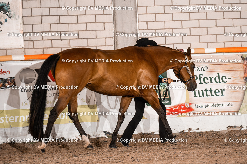 ZH200085 | dv-media-shop - Realisiert mit Pictrs.com