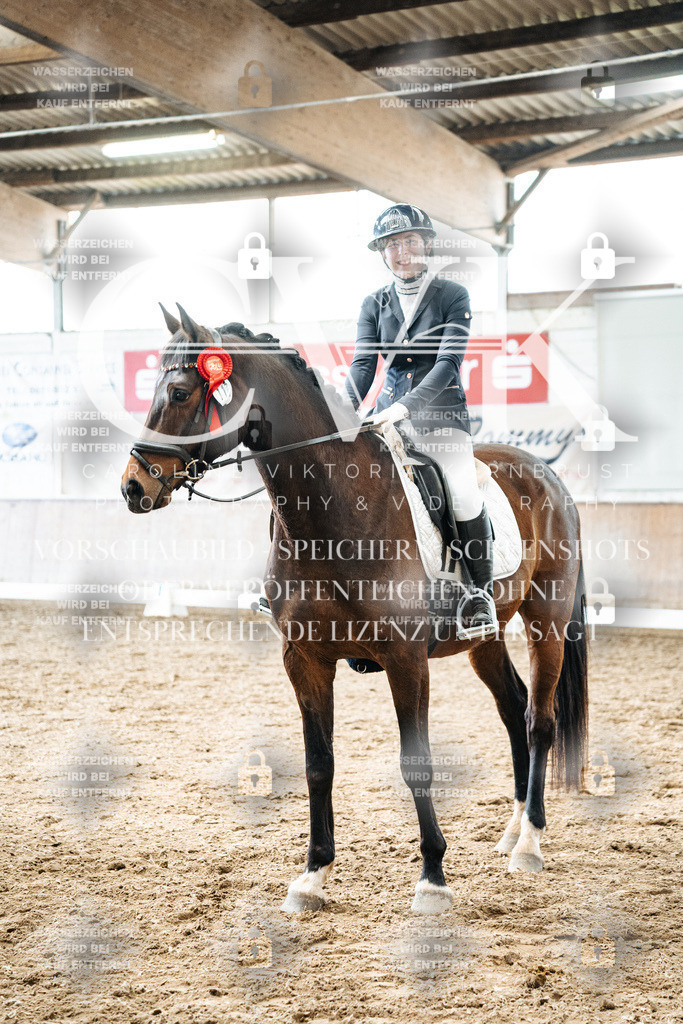 CK703144 | Turnierfotografie Pferdefotografie Trier Rheinland-Pfalz Pferdesport Reitsport Tierfotografie Sportfotografie Pferdevideo Pferdevideografie Equestrianvideography equestrianphotography  - Realized with Pictrs.com