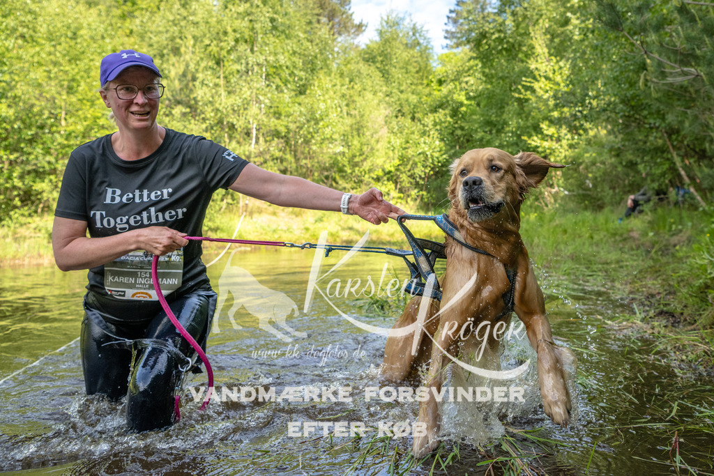 0950DKK9_ZZ93395 | kk-dogfotos