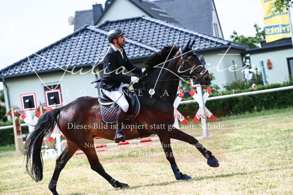 DSC_8914 | Pferde- und Turnierfotografie in Westsachsen. Pferdeportraits, Auftragszeichnungen und intuitive Kunst.