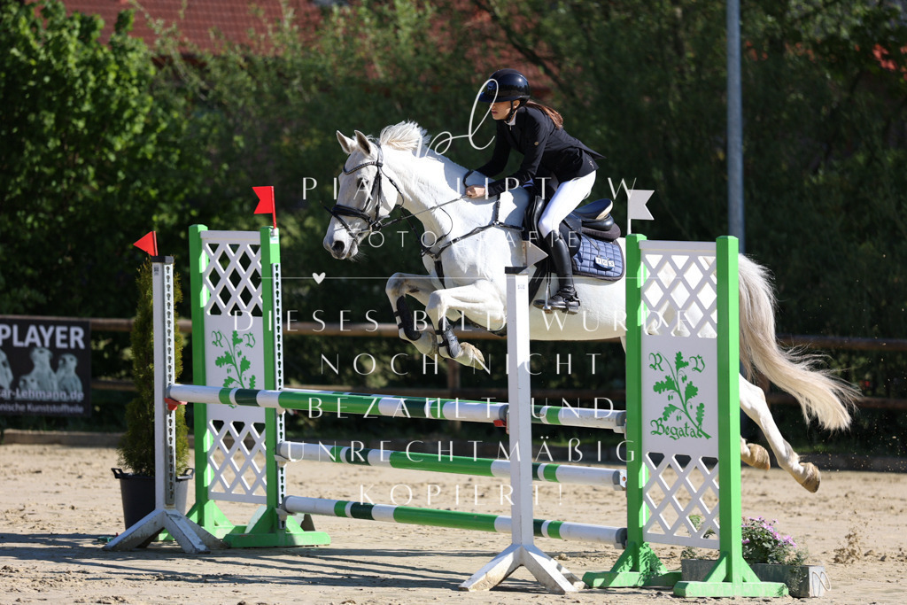 IMGS6390 | pl-fotografie