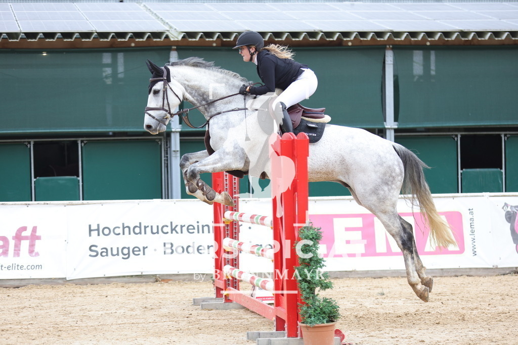 0P6A3896 | Willkommen bei Brunnmayr - Design & Fotografie – Ihrem Spezialisten für Reitturniere und Pferdeveranstaltungen in Oberösterreich, Salzburg und Bayern! Seit über 17 Jahren sind wir leidenschaftlich dabei.