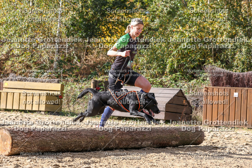 Dog Paparazzi - Strongdog 10-25-5737 | Dog Paparazzi Jeanette Grottendiek Fotografie & Videografie - Realisiert mit Pictrs.com