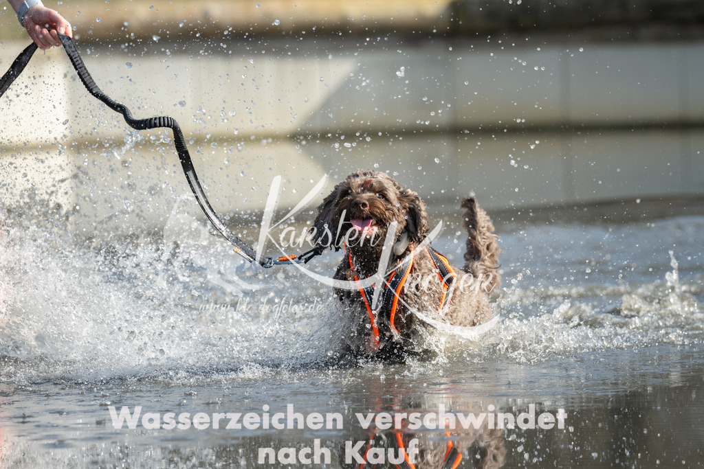 1346_ZZ98050 | kk-dogfotos