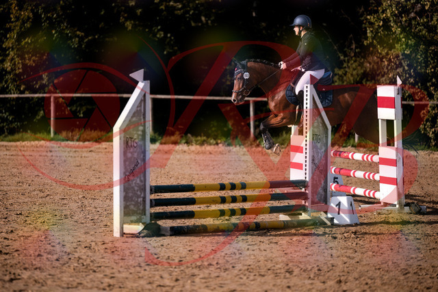 2026_10_03_Siefer-Hof_155352_Z81_73651431 | Professionelle Reitsport-, Turnier- und Eventfotografie von Robert Broda. Galerien mit ausgewählten und bearbeiteten Bildern direkt online ansehen und bestellen.