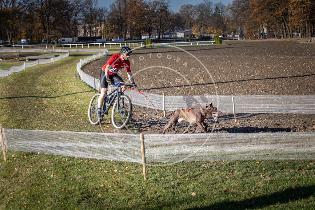 CaniXpix_DV3A3002 | Hundefotografie, Tierfotograf, Pfotenfotografie, Fotoshooting Hund, Hunde Portrait, Hundesport, Hundeportraits, Heideshooting, Hunde, Sportfotograf, Hundefotograf, Turnierhundsport, THS,  - Realisiert mit Pictrs.com
