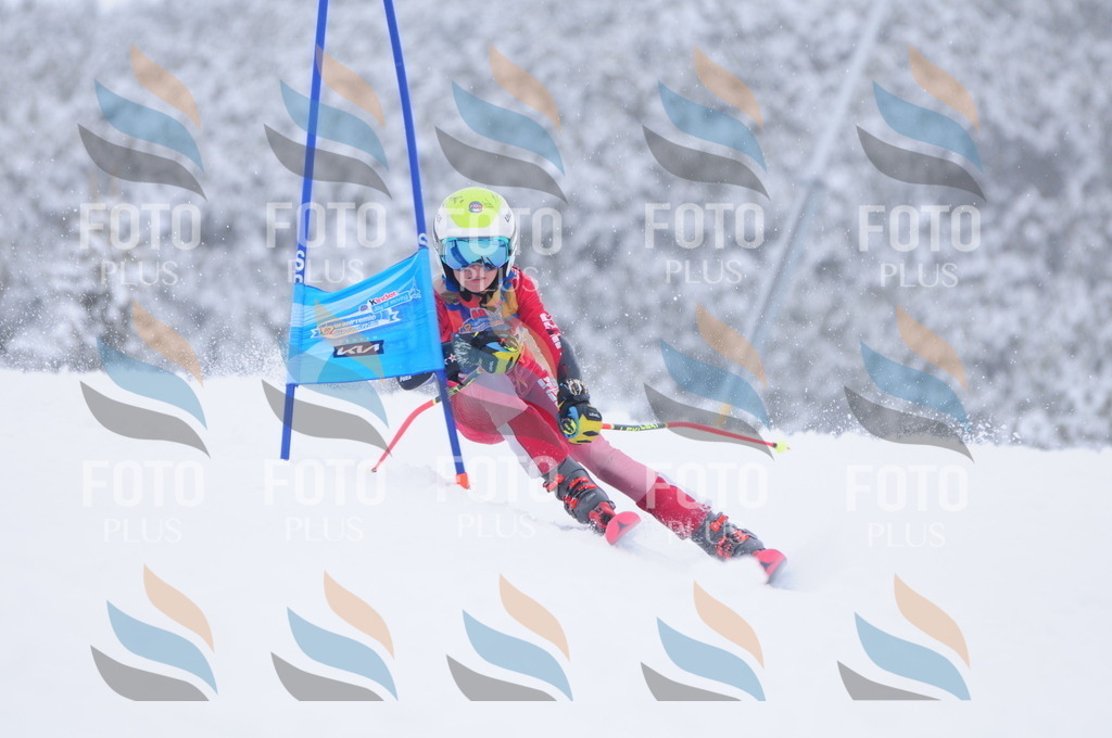 C4393 | holidayphoto