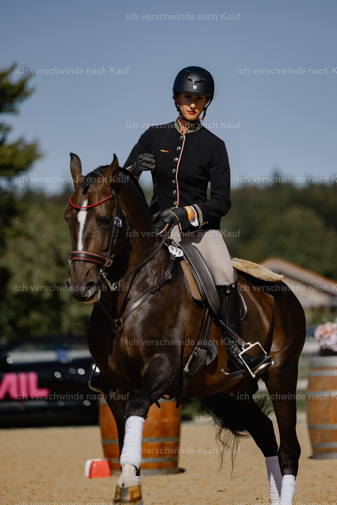 Virginie12FHC2025-27645 | working equitationturnier fotograf videograf stoibphotography marixx film working equitation deutschland reitsport turnierfotografie eventfotografie equestrian events