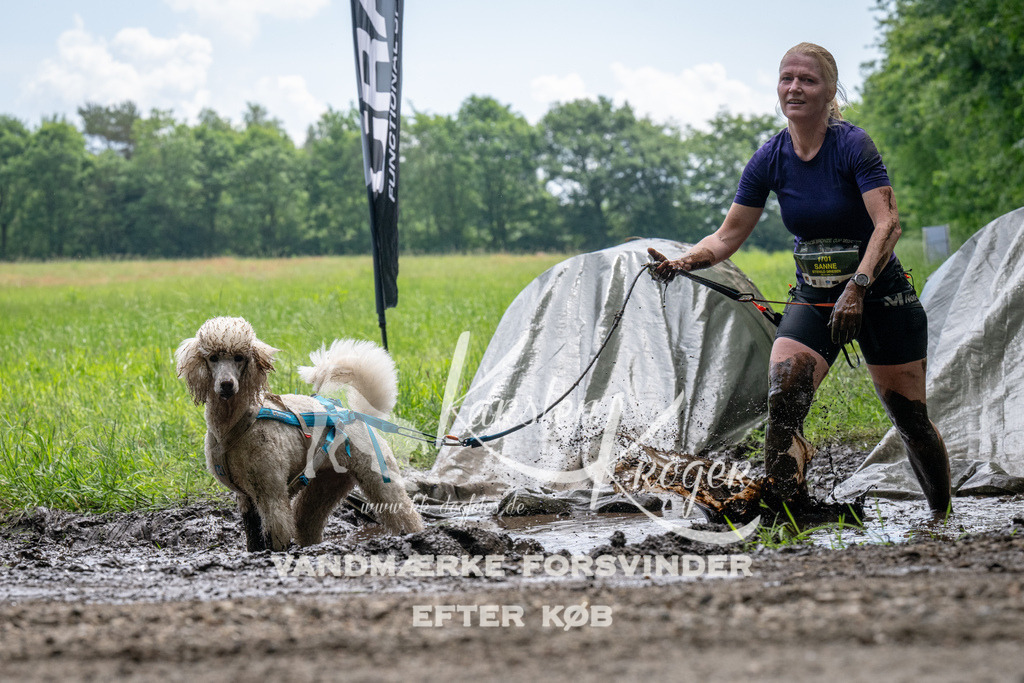 1102_ZZ91168 | kk-dogfotos